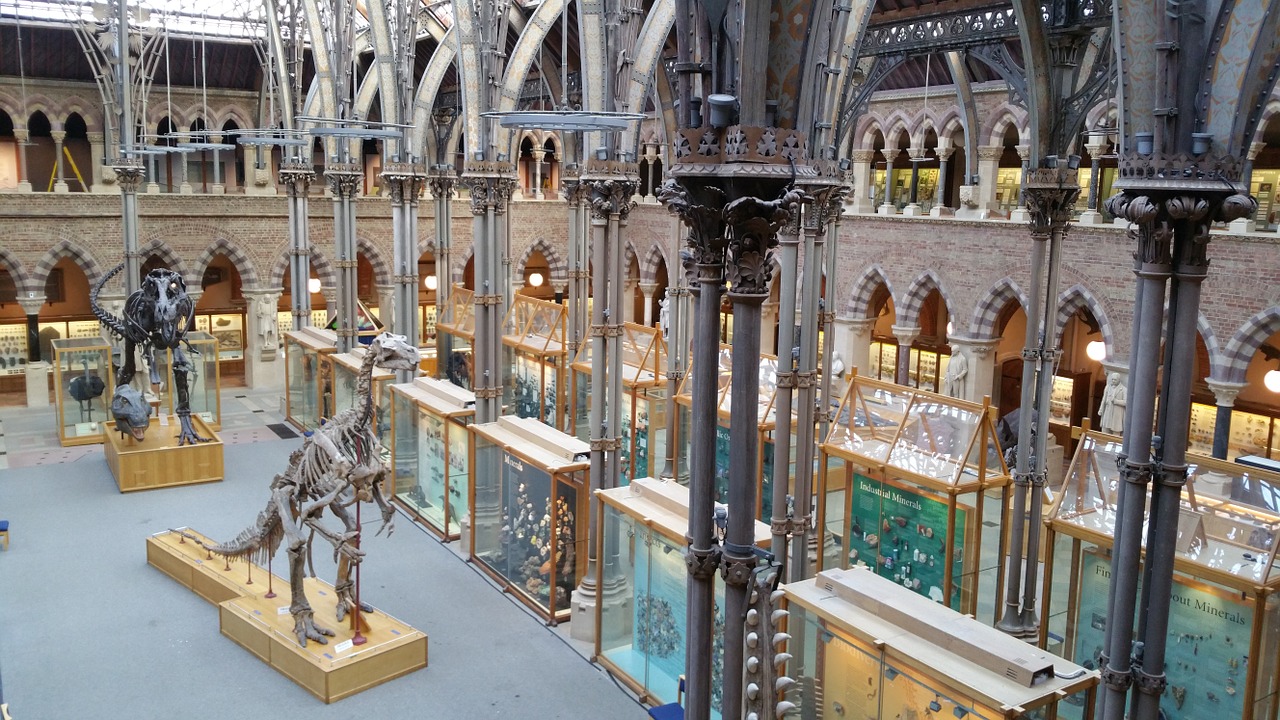 Największe atrakcje w Londynie - Muzeum Historii Naturalnej